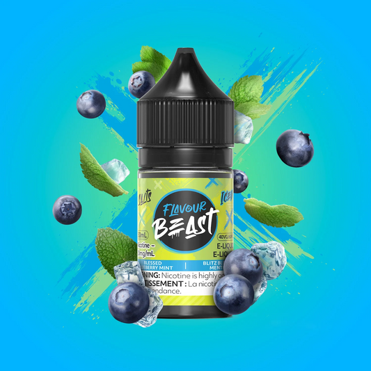 BLESSED BLUEBERRY MINT ICED - FLAVOUR BEAST E-LIQUID - 10MG
